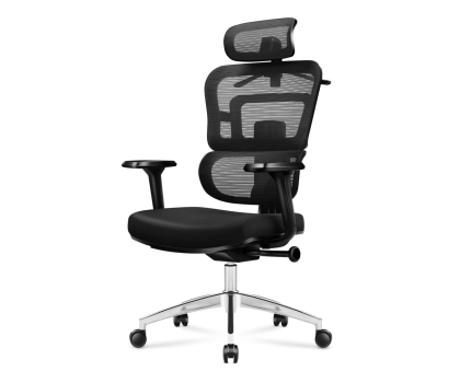 Fotel ergonomiczny Huzaro Mark Adler Expert 4.9 Black MA-Expert 4.9 Black